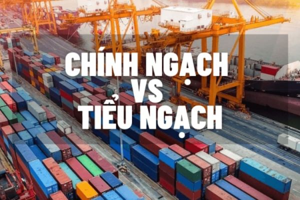 Sự khác nhau giữa hàng tiểu ngạch và hàng chính ngạch Sự khác nhau giữa hàng tiểu ngạch và hàng chính ngạch